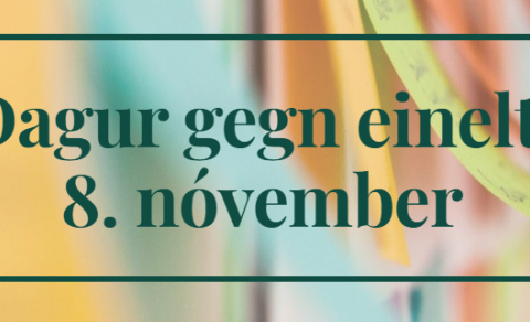 Baráttudagur gegn einelti - vinadagur